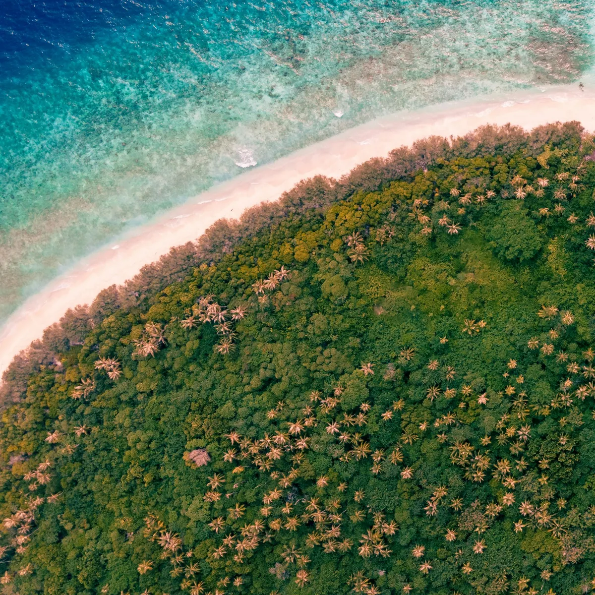 如何使用 wpsjs 创建右键功能菜单