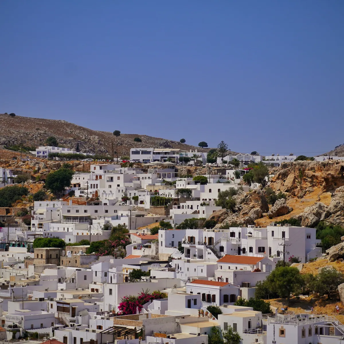 实现代码块一键复制