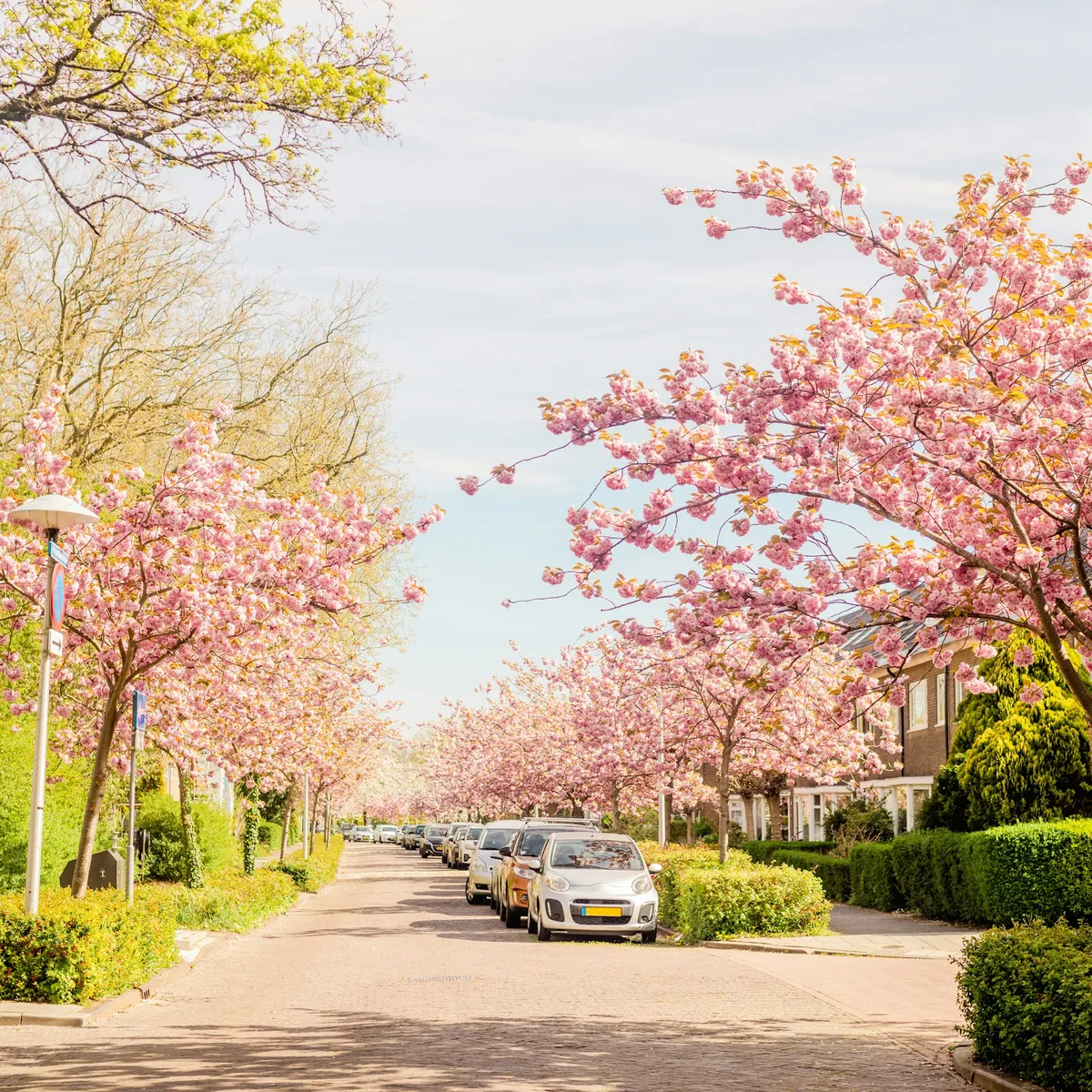 升级 Umami 到 v3 版本