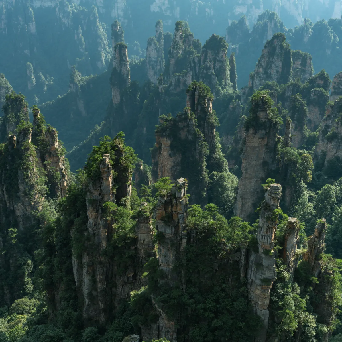 在 openEuler 中使用 mongodb