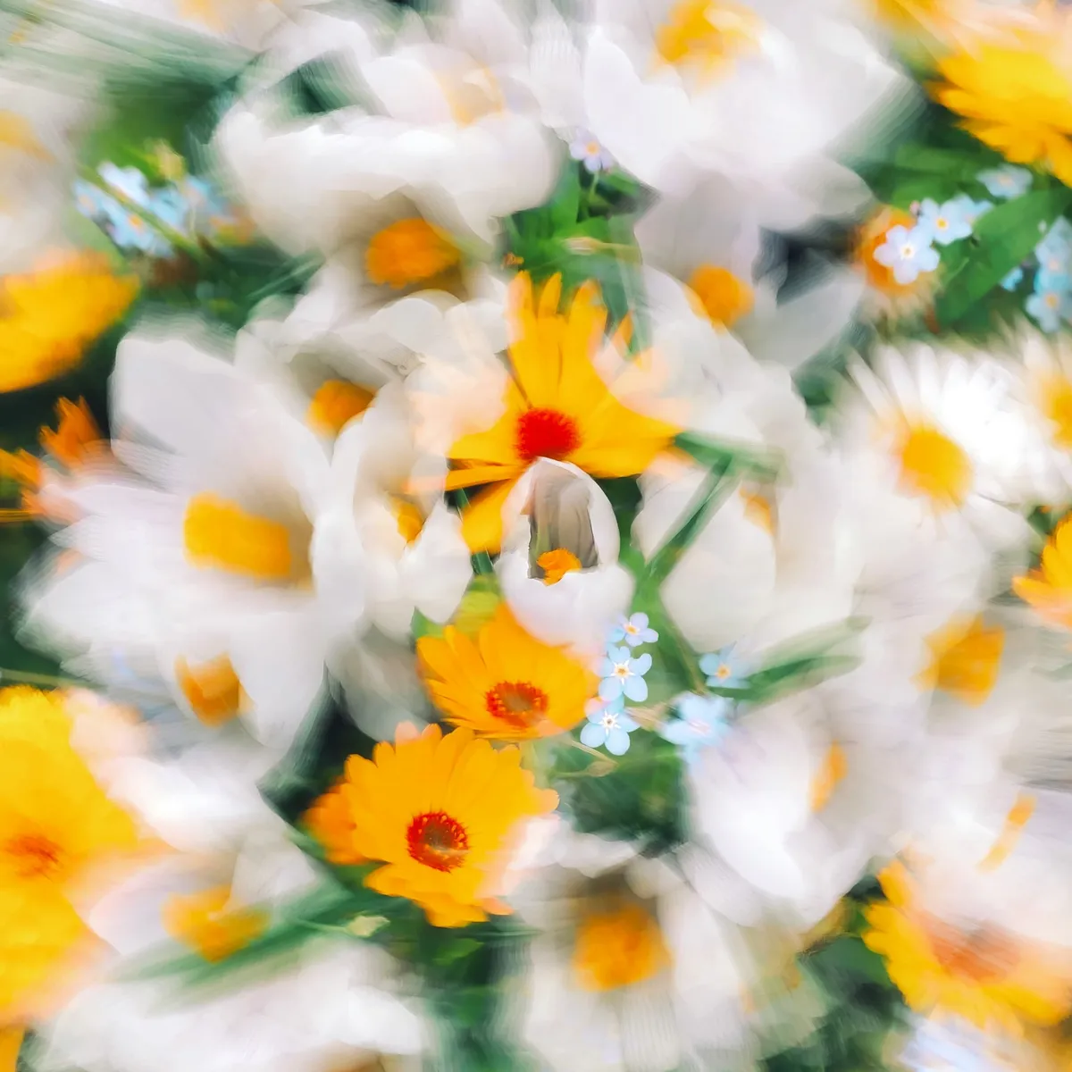 创建自定义 action