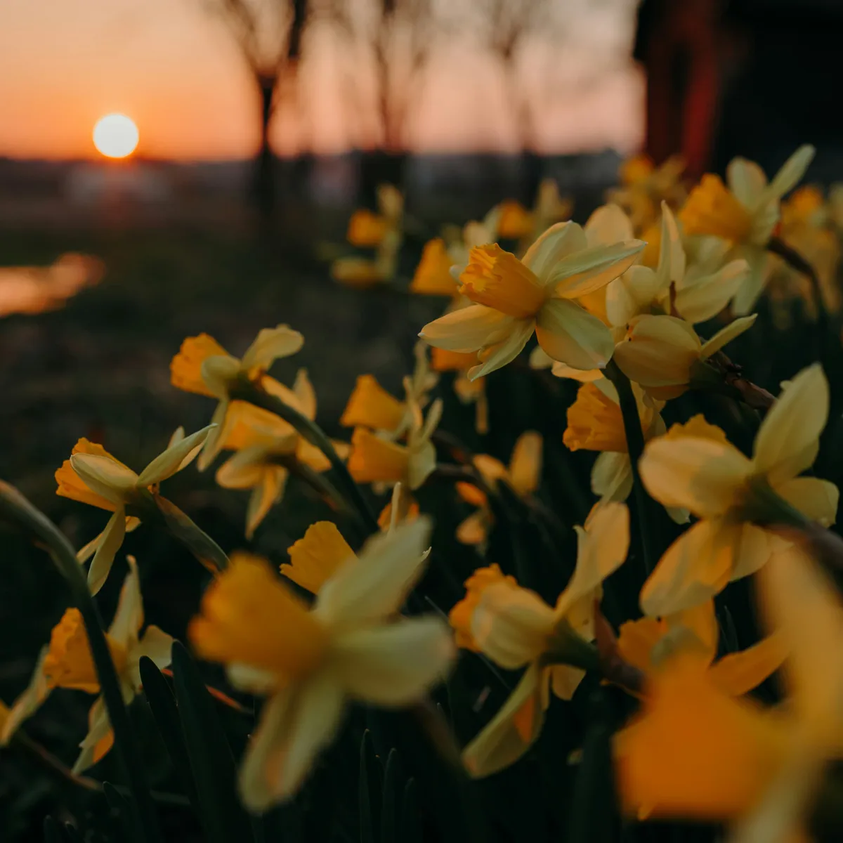 常见的 JS 设计模式-下