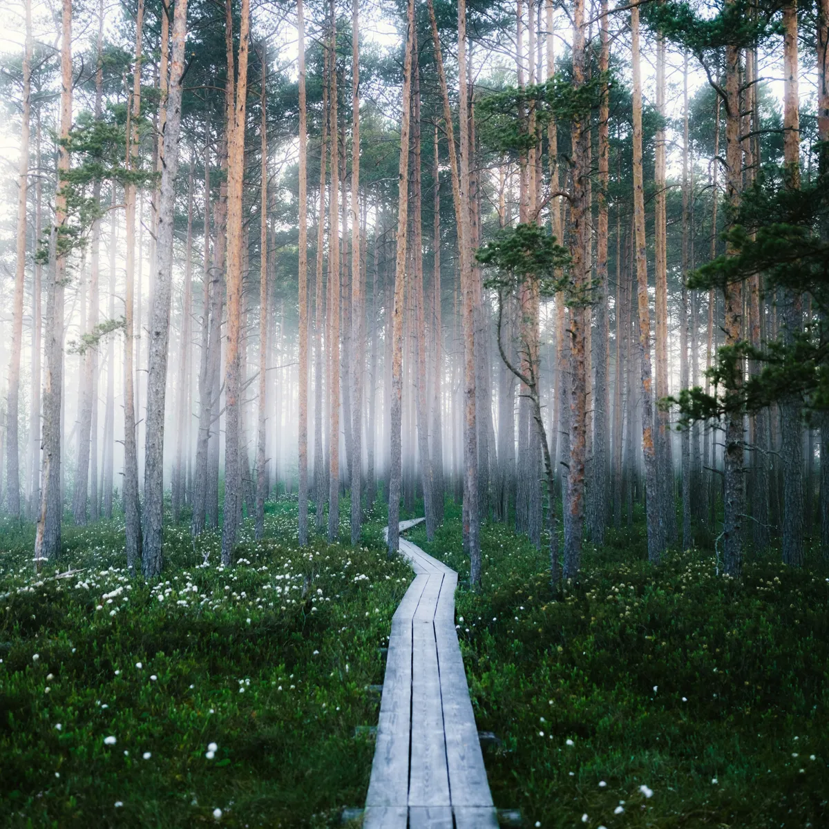 常见的提交信息规范