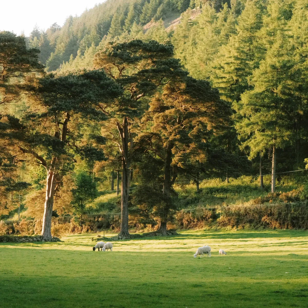 让 GBK 流具体感知能力