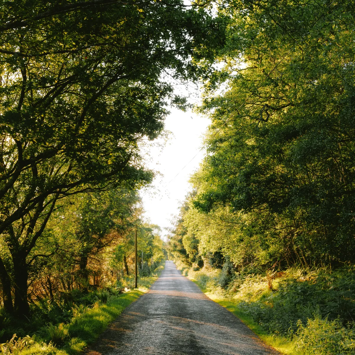 在 vite 中使用 iconv-lite