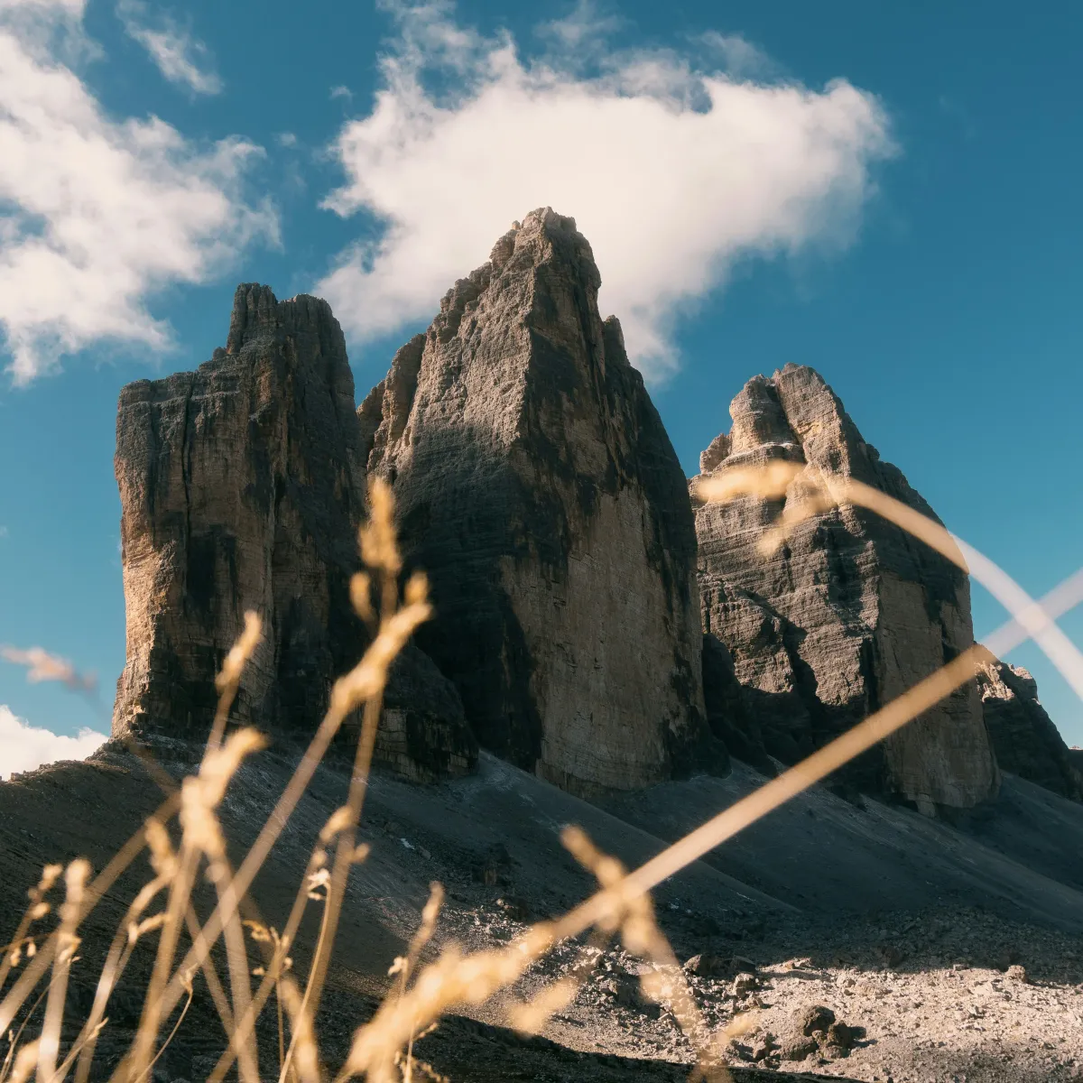 在 vite 中使用字体